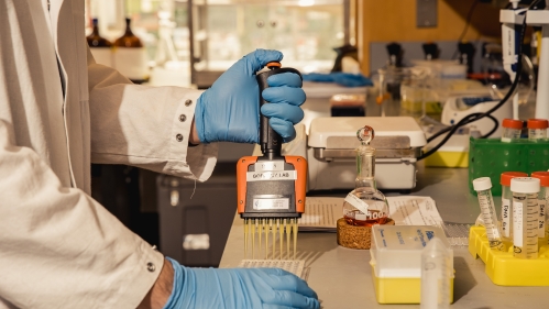 Close-up photo of person working in a lab bay. Blue gloved hands hold a dropper of liquid inside a beaker
