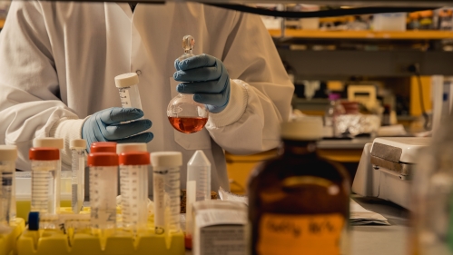 Closeup of researcher holding a bottle with orange colored liquid, a plastic centrifuge tube, and multiple plastic vials on counter.t tube, and d severa