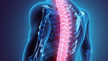 Illustration of an x-ray of the back of person with the spinal cord highlighted