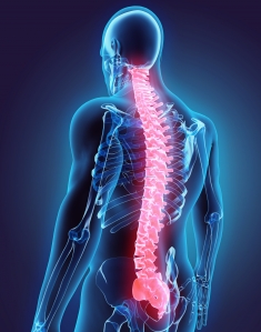Illustration of an x-ray of the back of person with the spinal cord highlighted